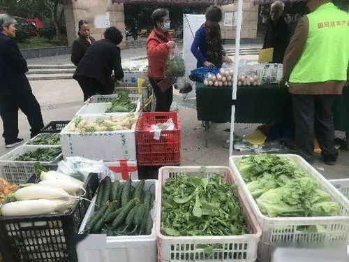 便捷與實(shí)惠并行 高品質(zhì)農(nóng)產(chǎn)品進(jìn)社區(qū)，守護(hù)市民餐桌健康